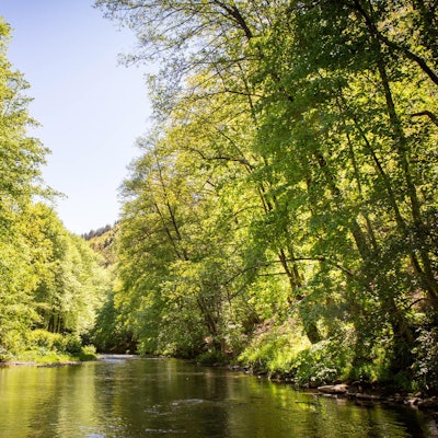 20190515-Schmuckfoto-Agger-003