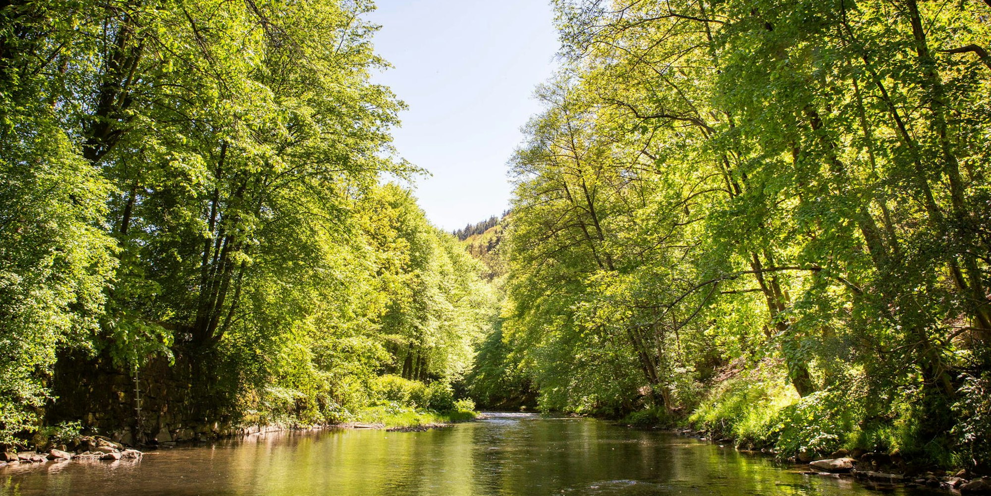 20190515-Schmuckfoto-Agger-003