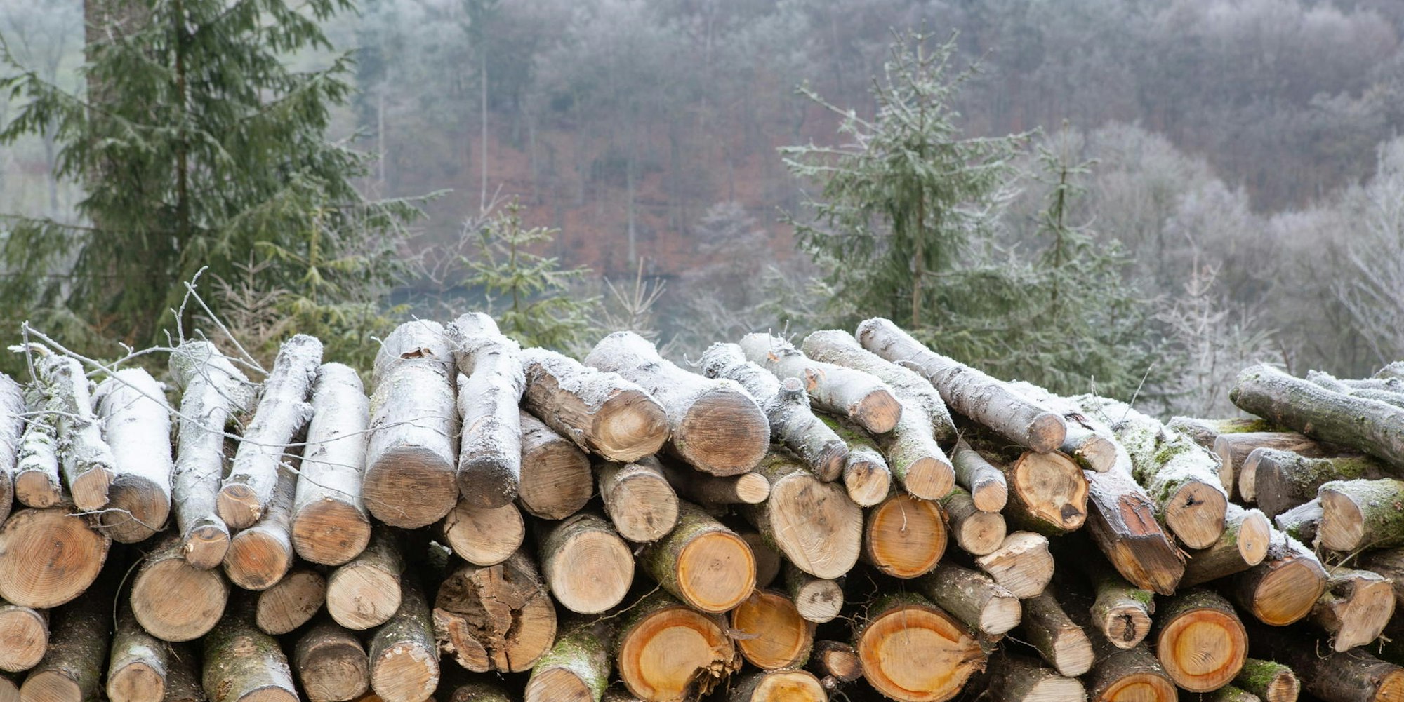 Schmuckfoto-Winter Oberberg