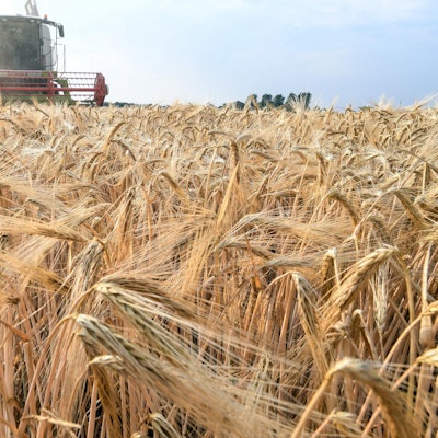 Landwirt Ernte Mähdrescher dpa