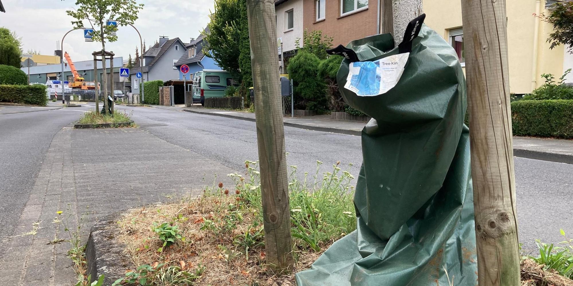 Neuer Inhalt