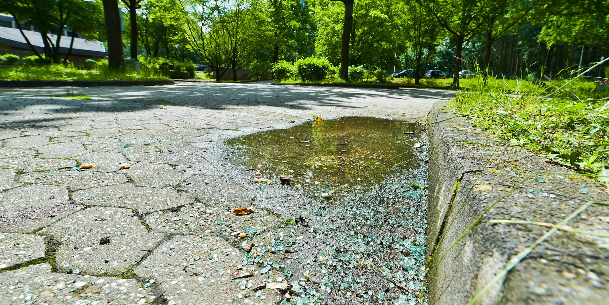 190620_waldfriedhof_hs_1