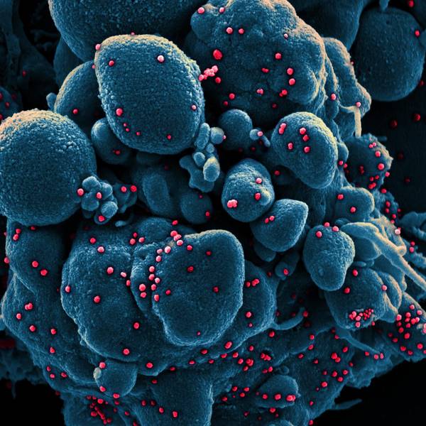 Coronavirus SYMBOL DPA 220822
