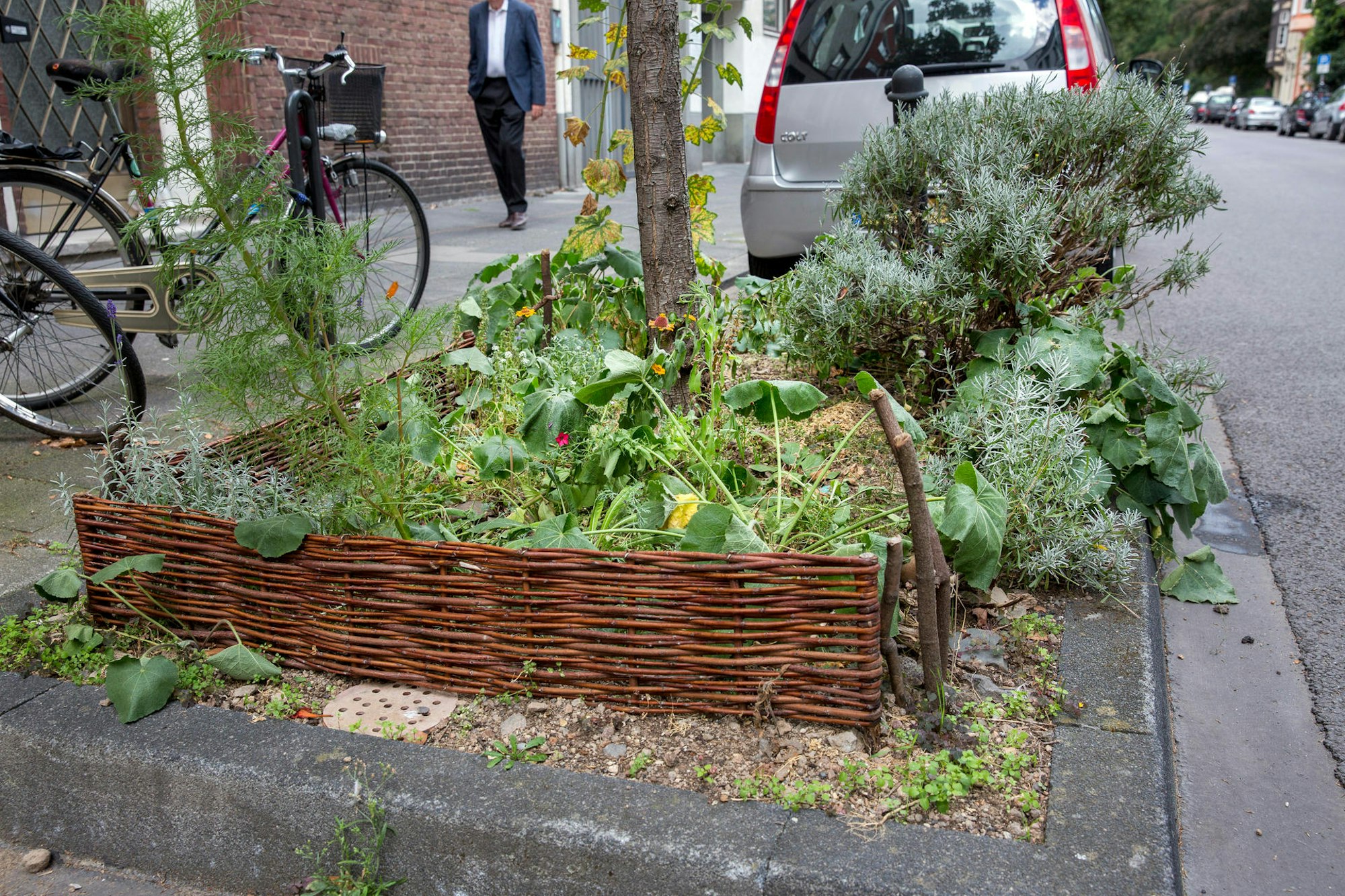 20200906-MBA-Baumscheiben-01