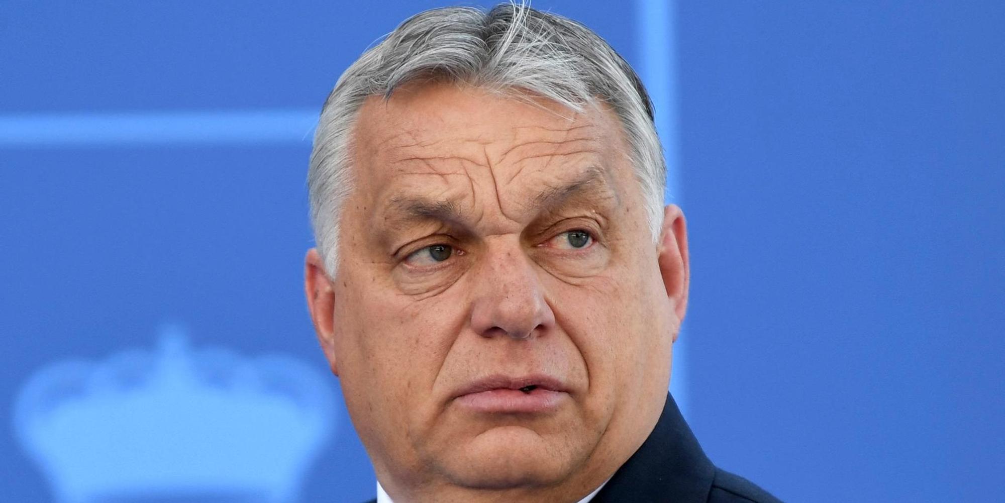 Neuer Inhalt