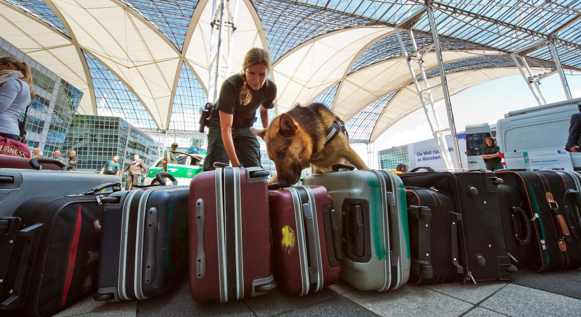 Zoll Koffer Suche Flughafen München dpa