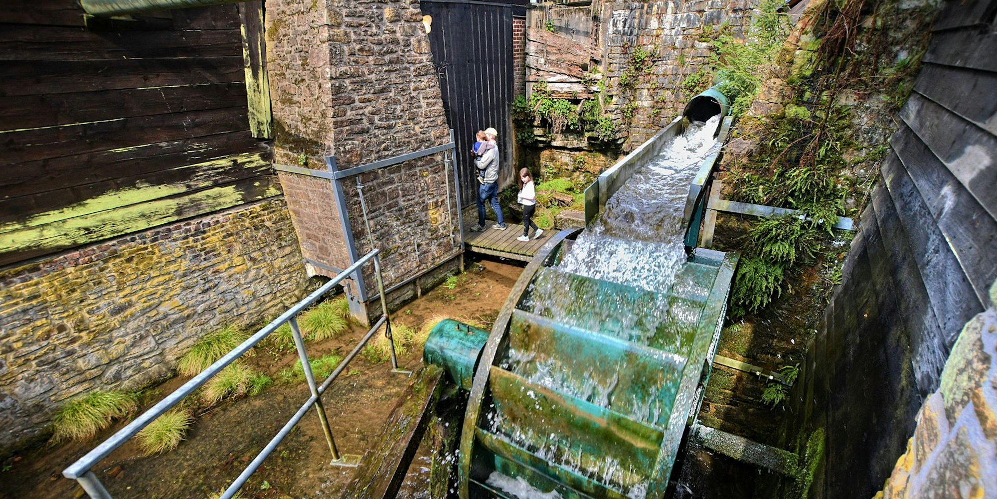 digas-164235720_MDS-KR-2019-06-04-71-148219674