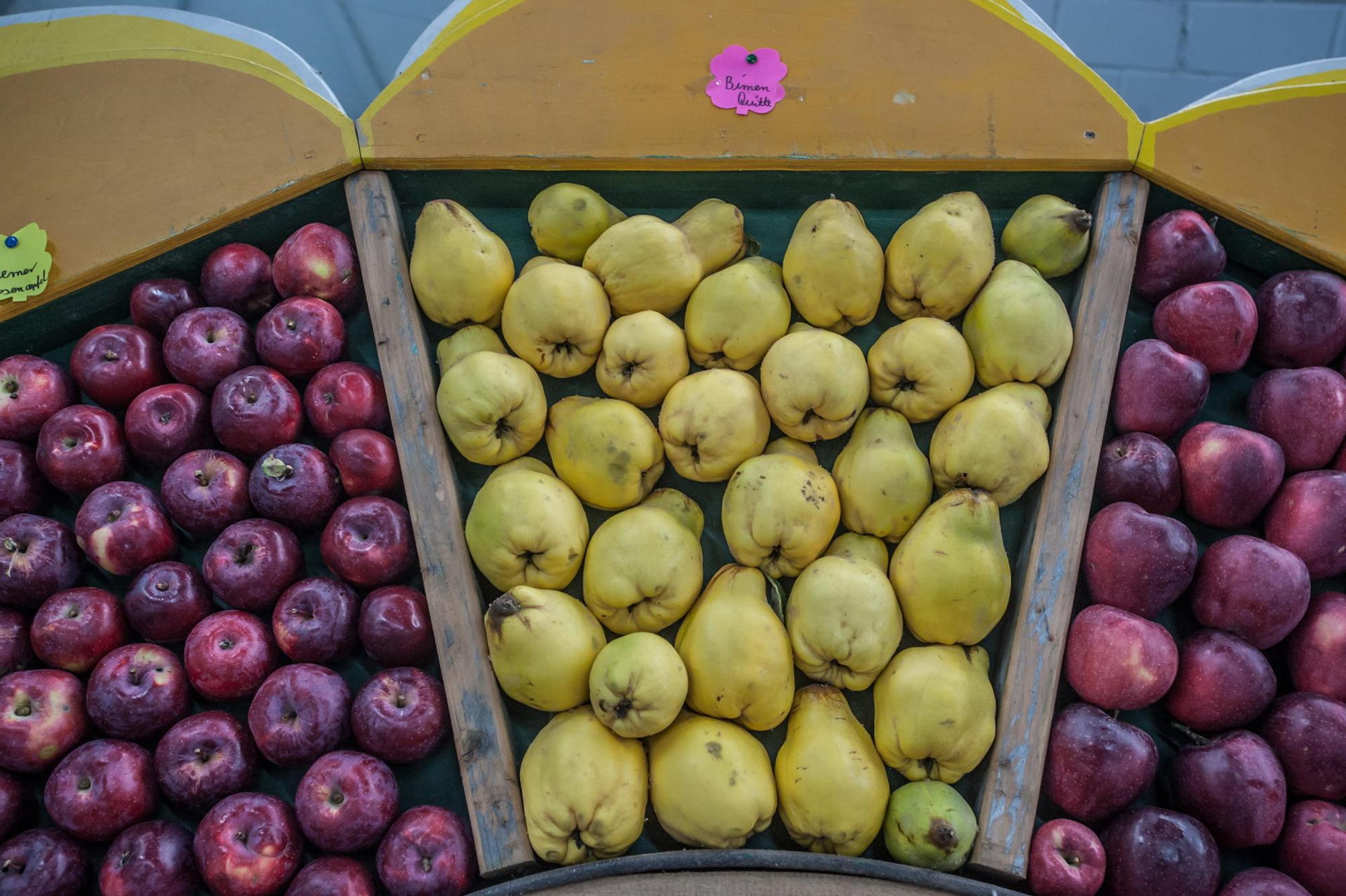 leichlingen-obstmarkt--ALF_7426