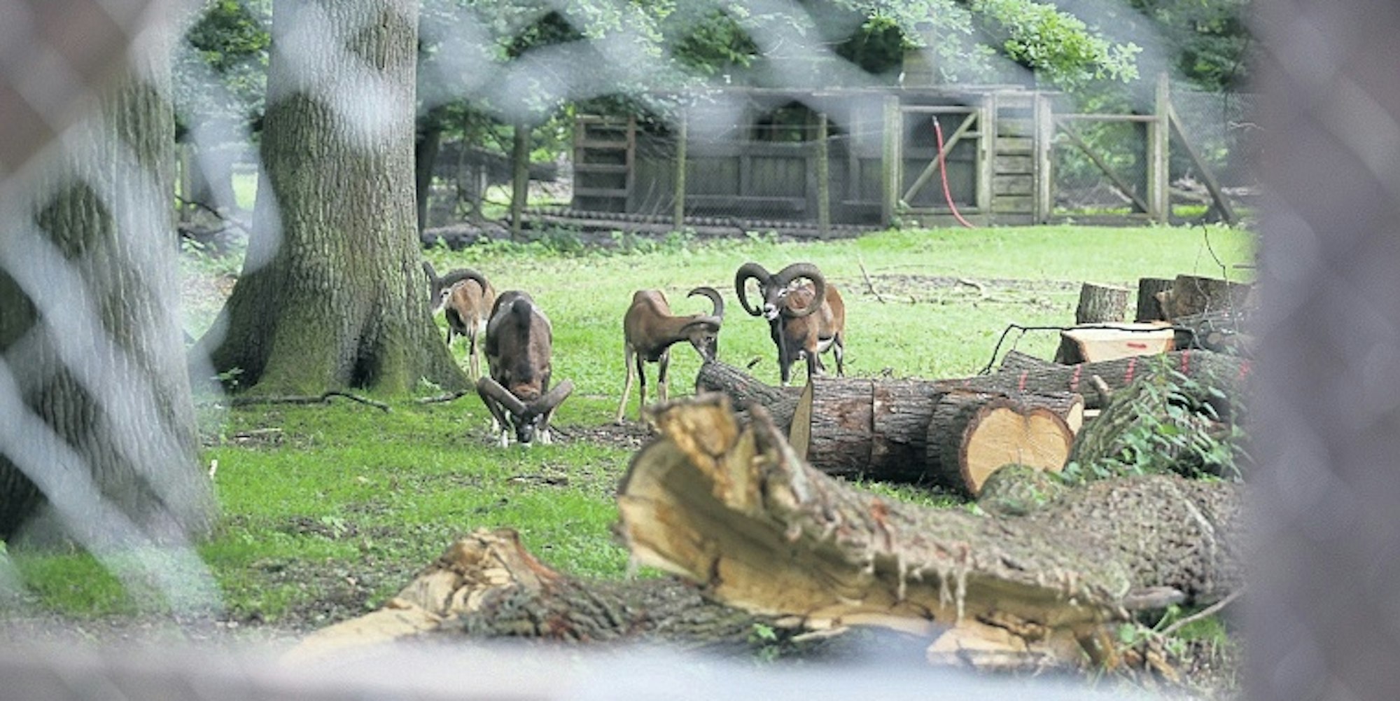 tier1_2018_07_03_KSTAB_MDS-KSTA-2018-07-03-71-134594332