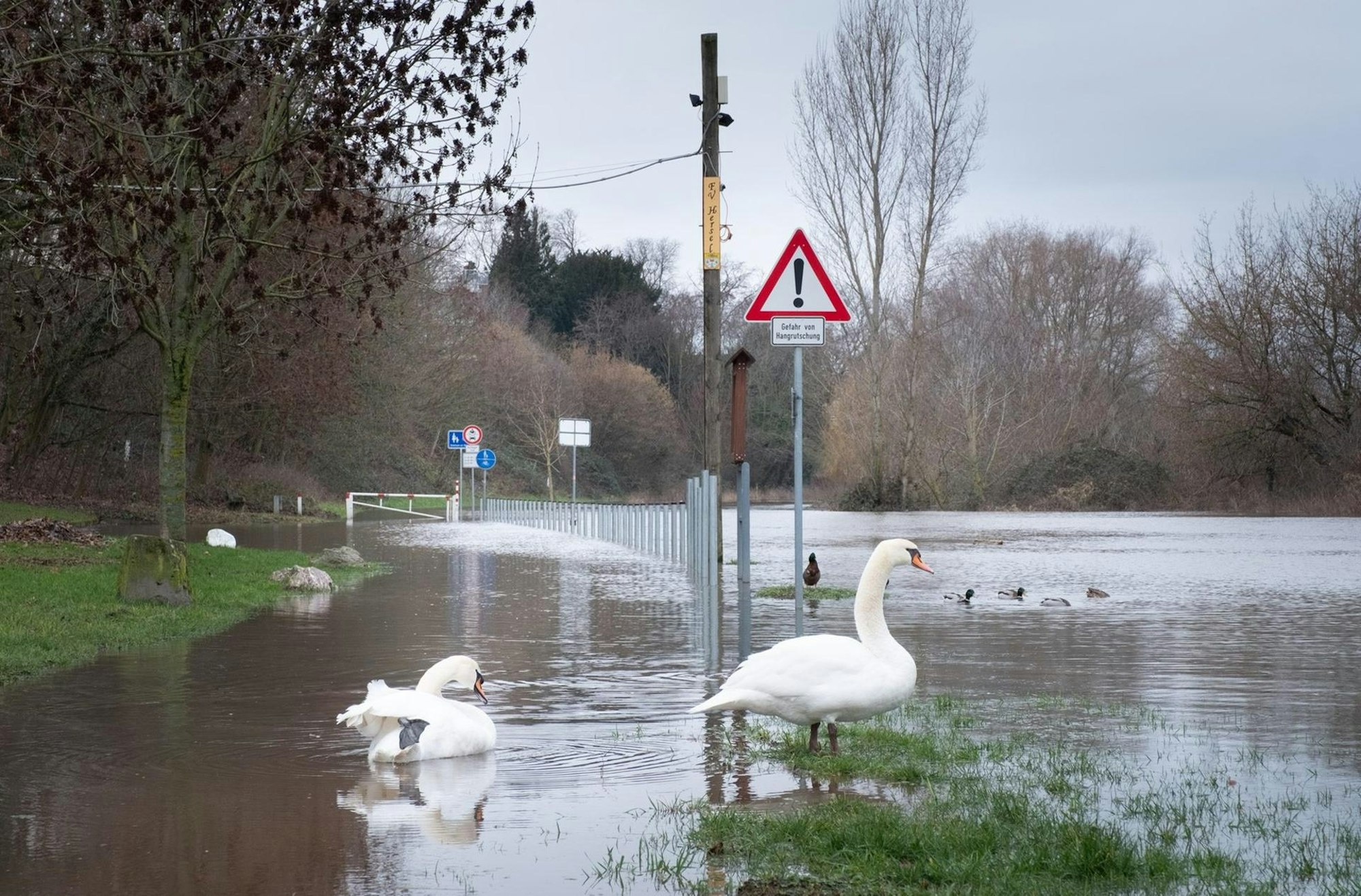 Hochwasser Bonn 2