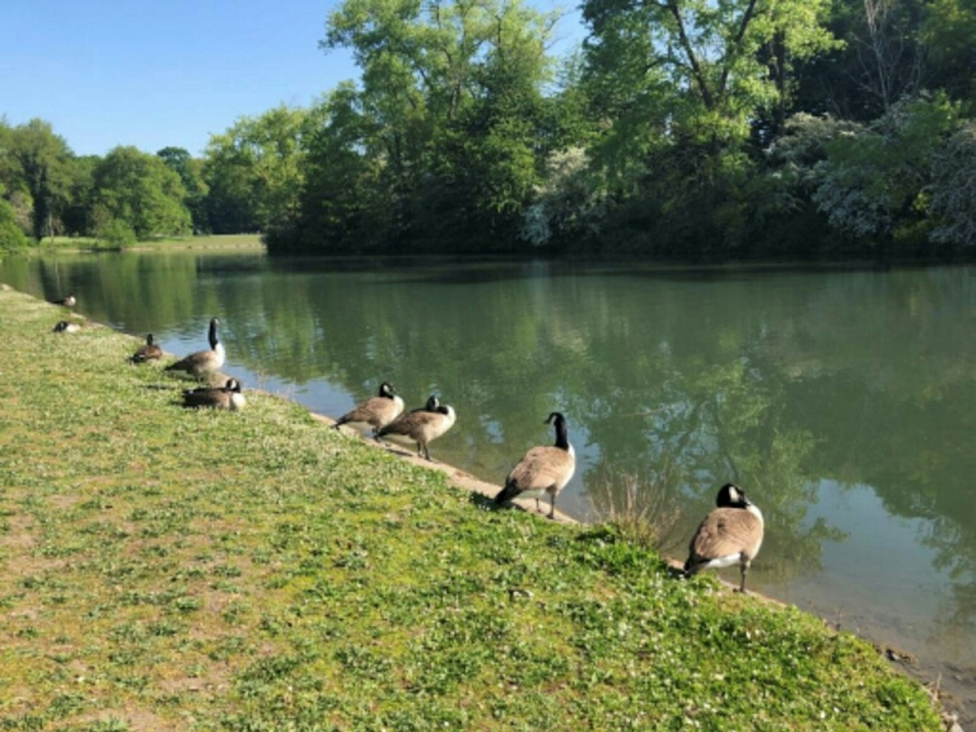 MDS-KSTA-2020-10-08-71-165844146