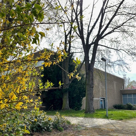 Turnhalle Oberaußem nip