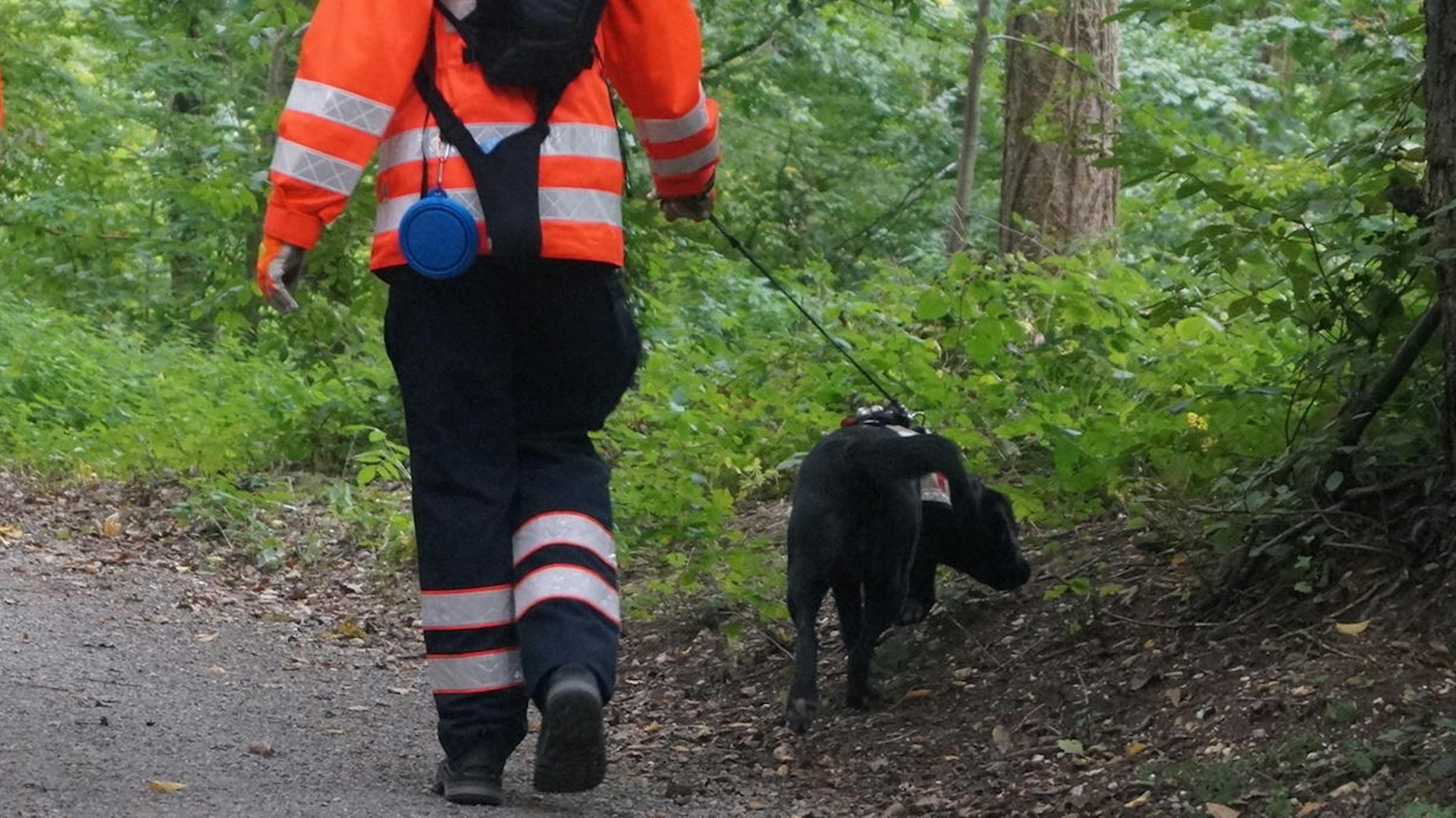 Das Symbolbild zeigt die Suchhundestaffel des DRK Euskirchen.