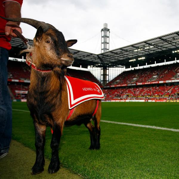 Hennes 8