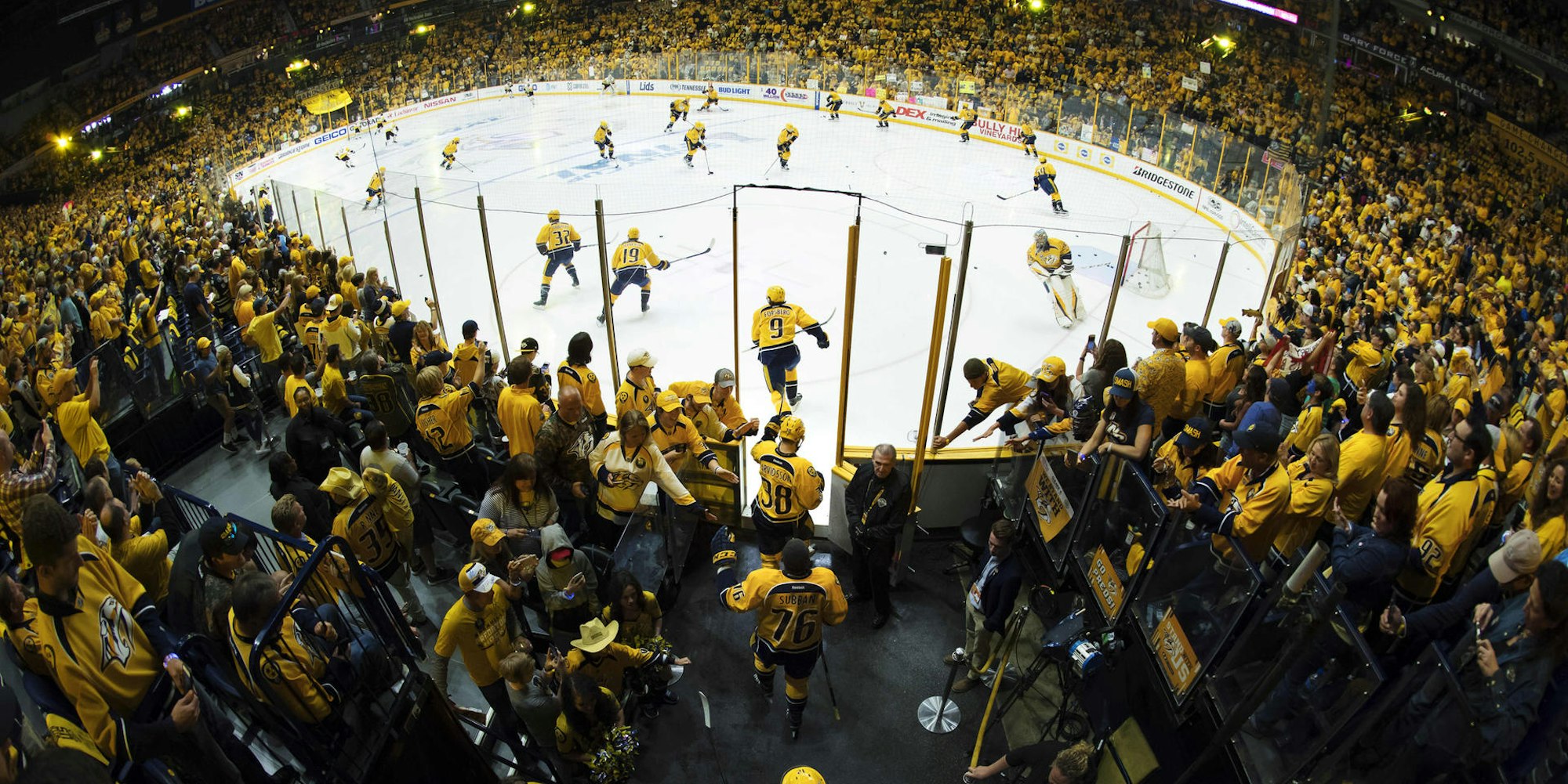 Nashvile Predators