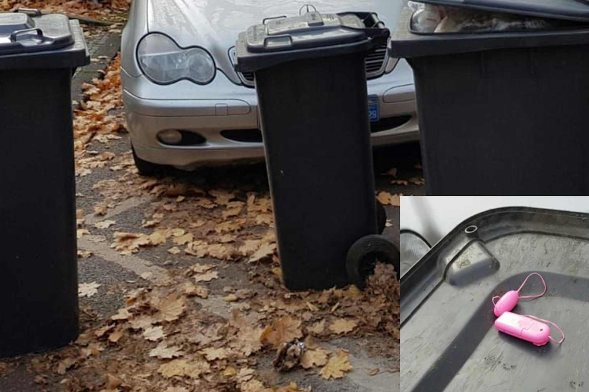 Mülltonne Altenessen