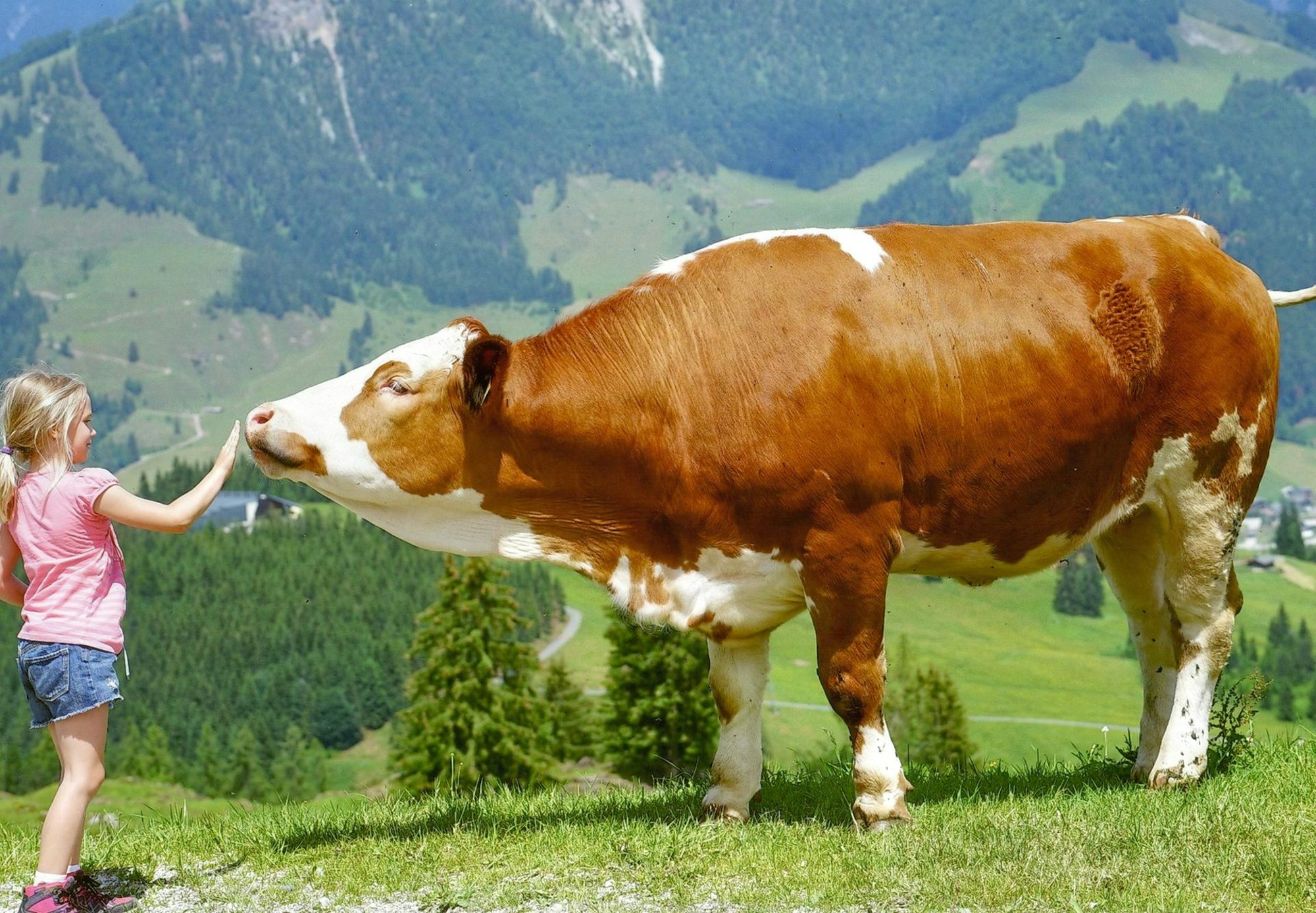 Platz 015_Bild 019_P_Nohl_Ralph