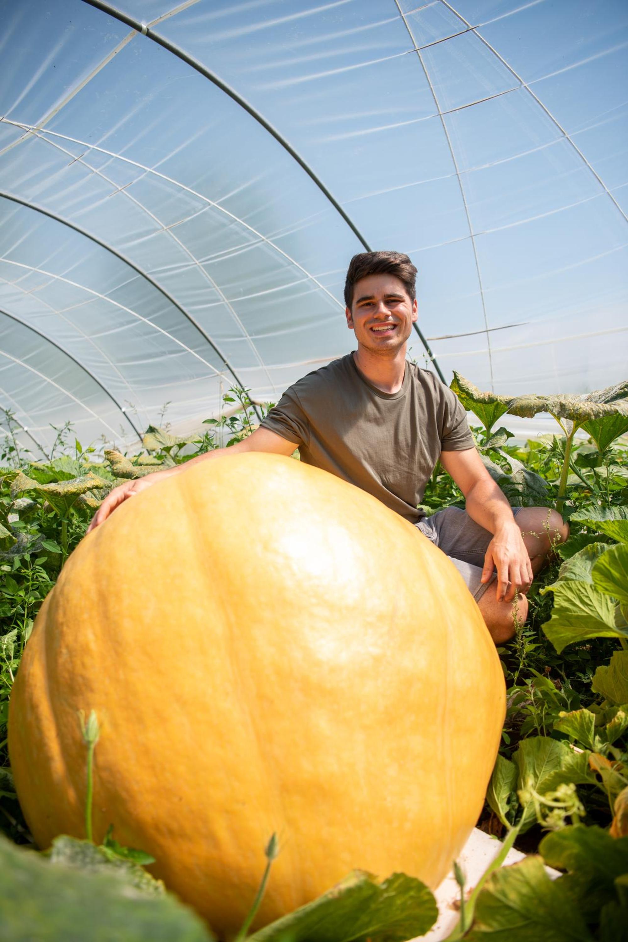 Max Bieger mit einem seiner Riesenkürbisse