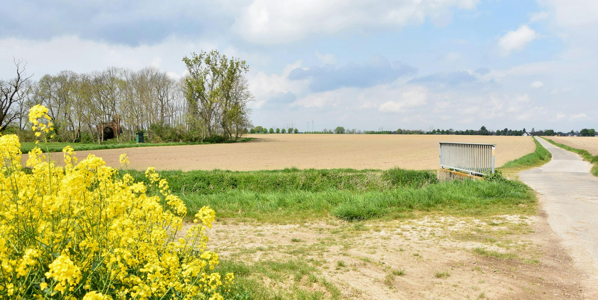 el-Kiesgrube-Widdendorf-II-FTZ (9)