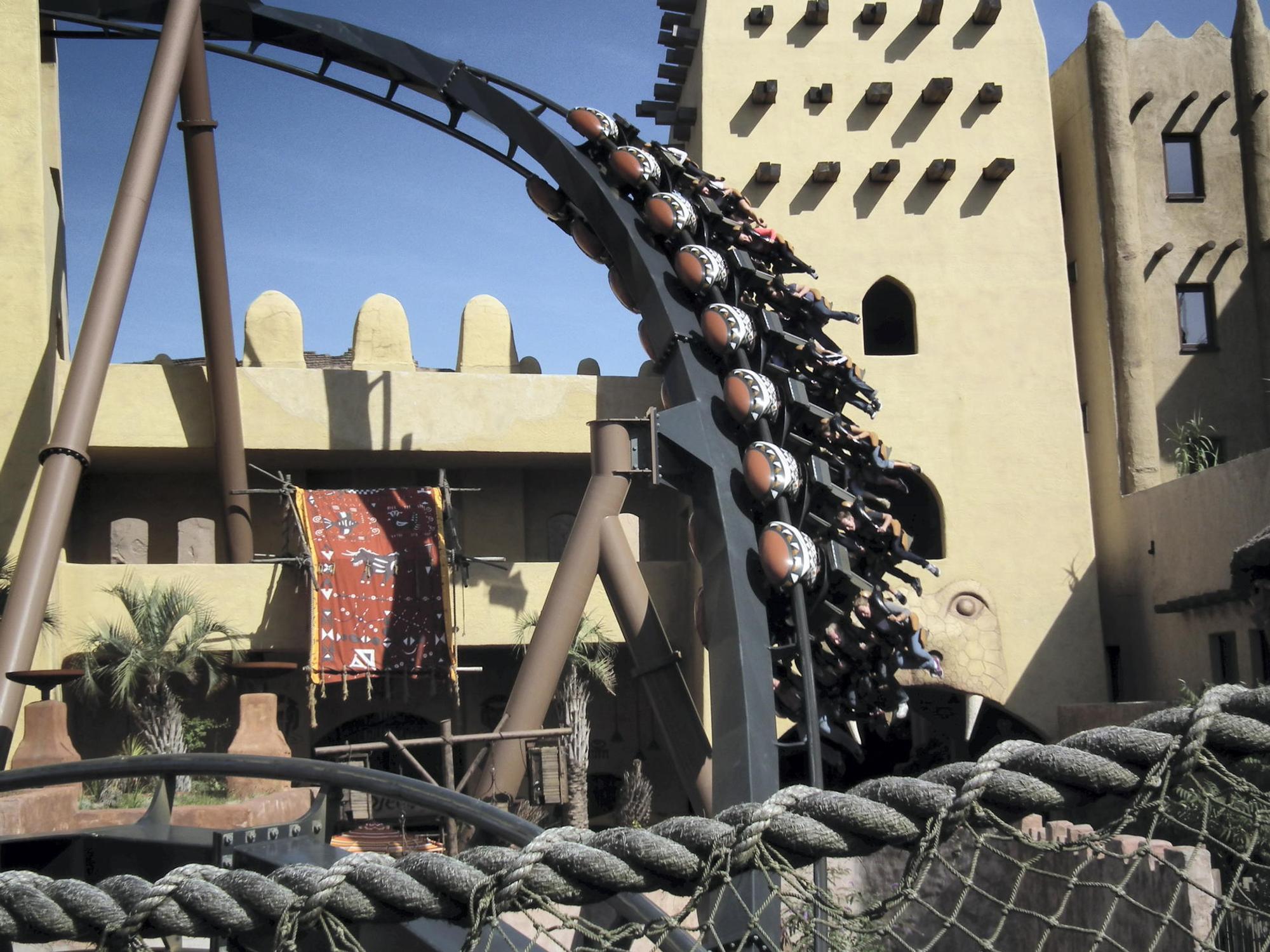 Black Mamba Archivbild 2015