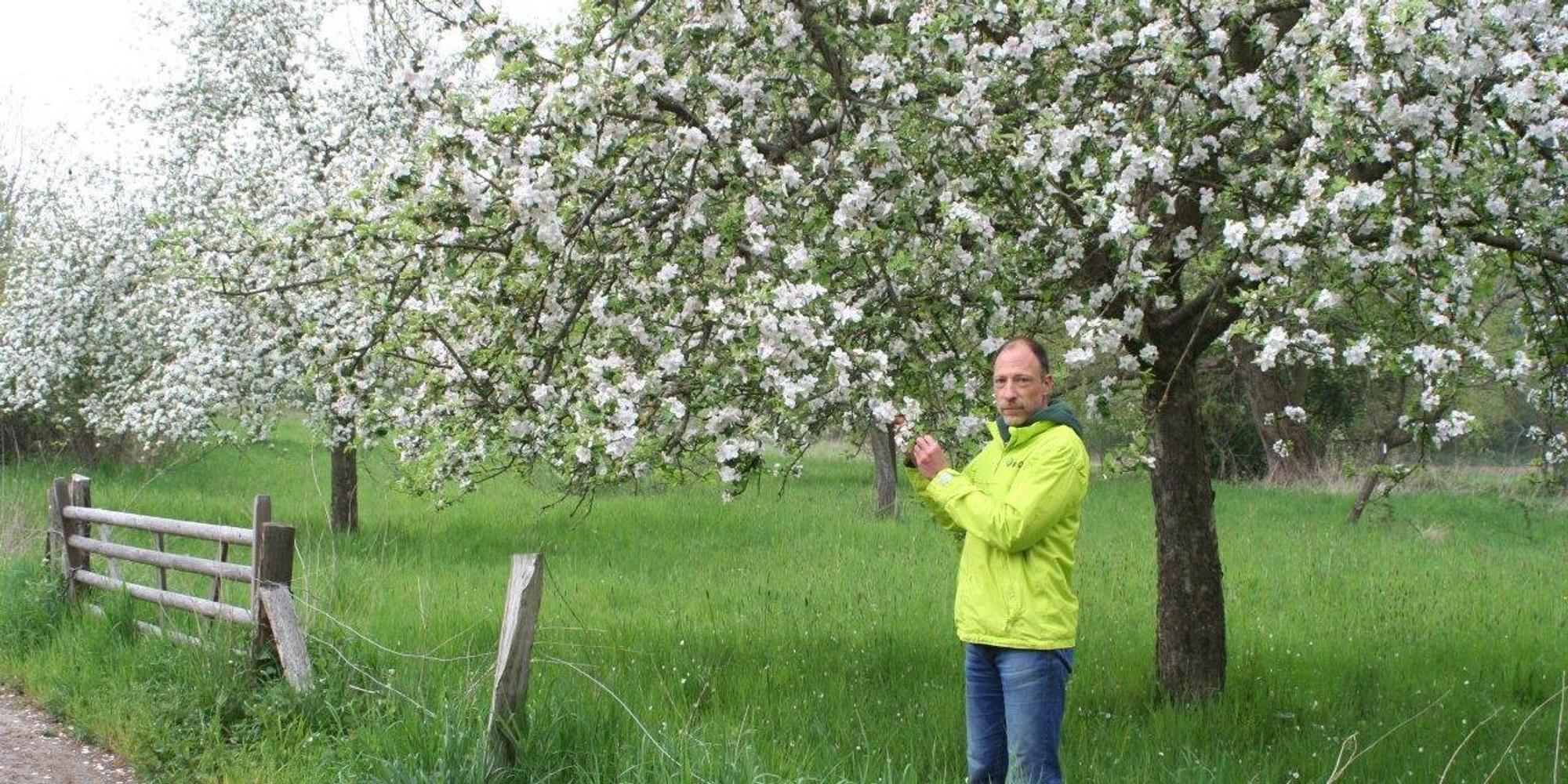 20220427-hrö-Streuobstwiese-2