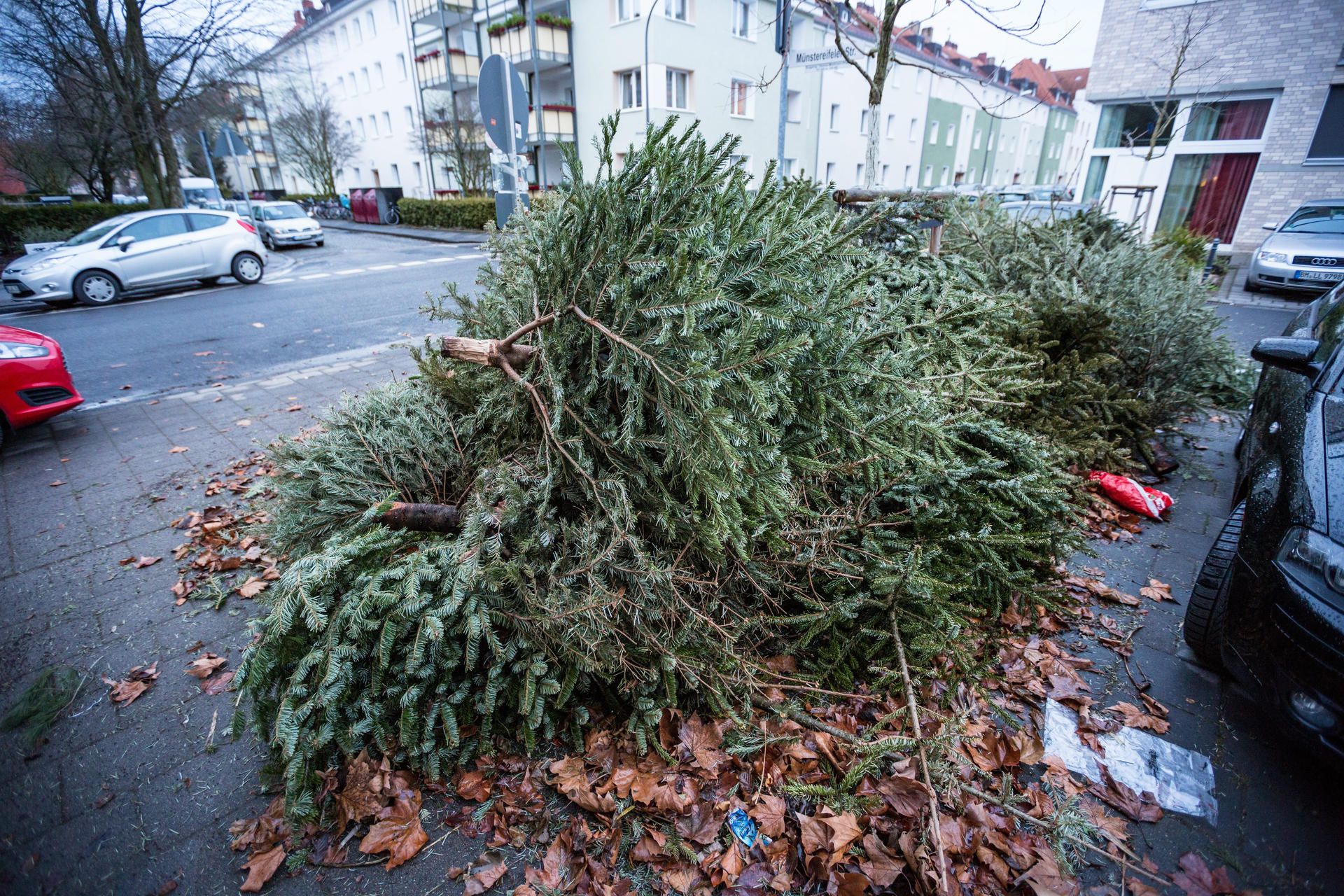 Neuer Inhalt