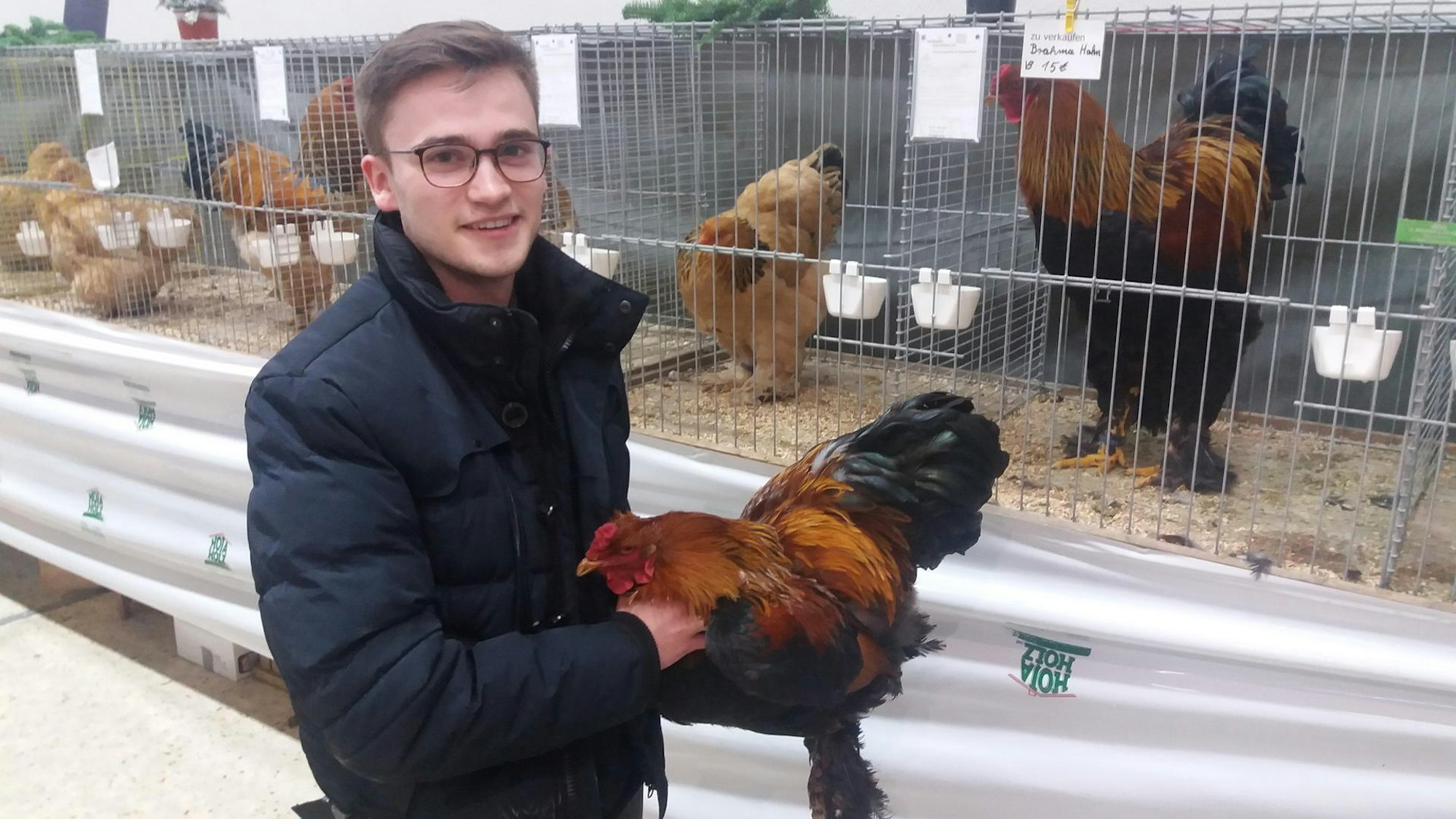 Jonas Gebert (21) mit einem Brahma