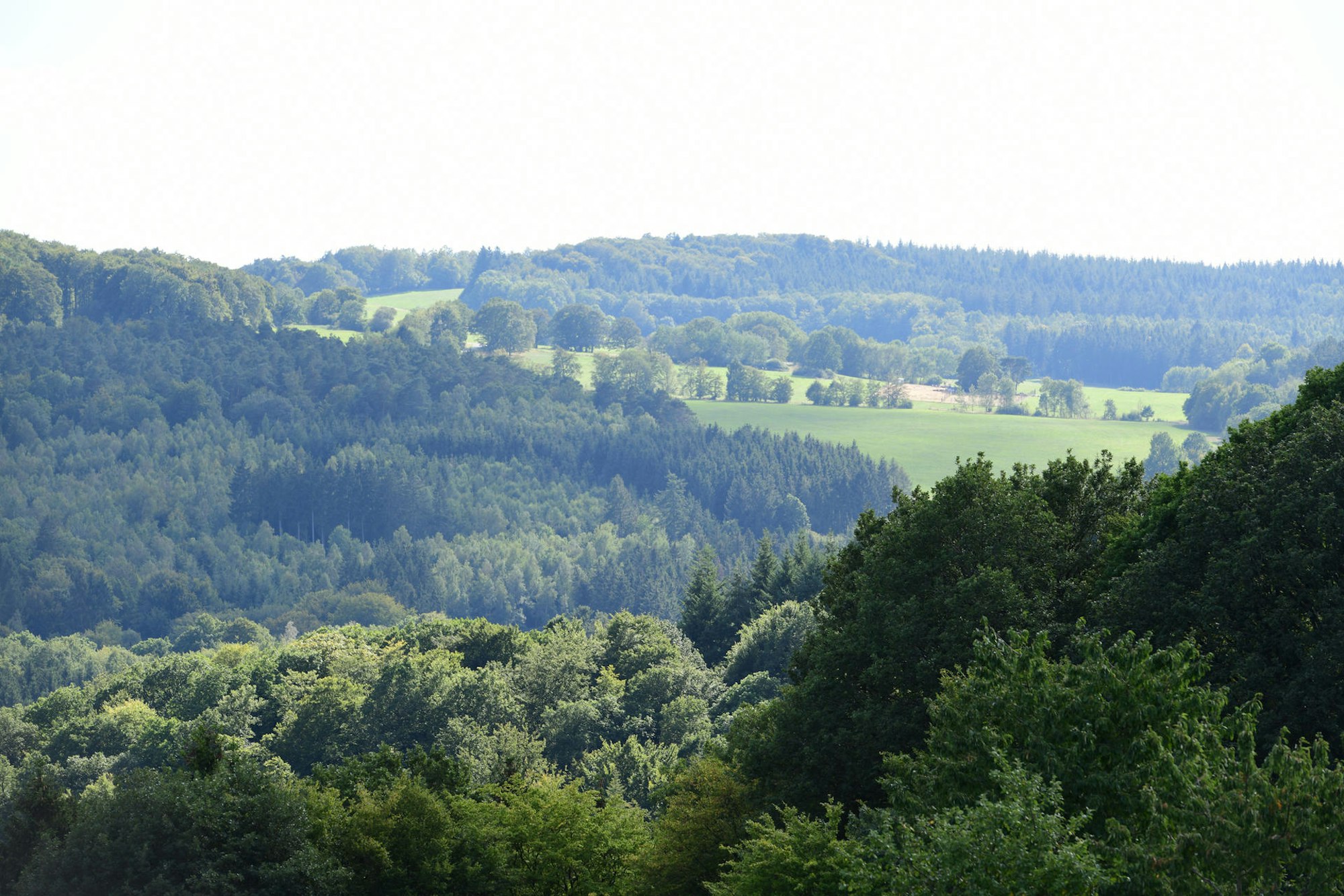 Peter Wohlleben Wanderung Olaf Wull Nickel15