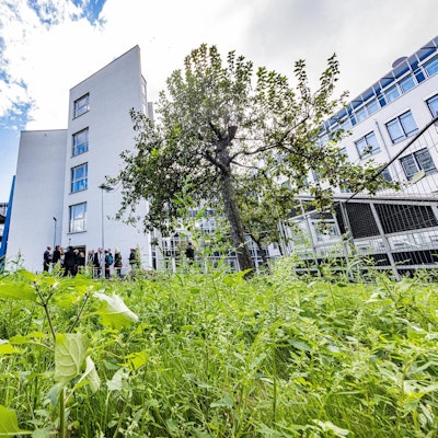 Gymnasium Aachener Straße