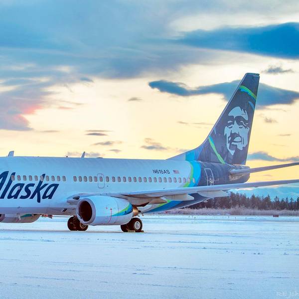 Flugzeug Alaska Bär