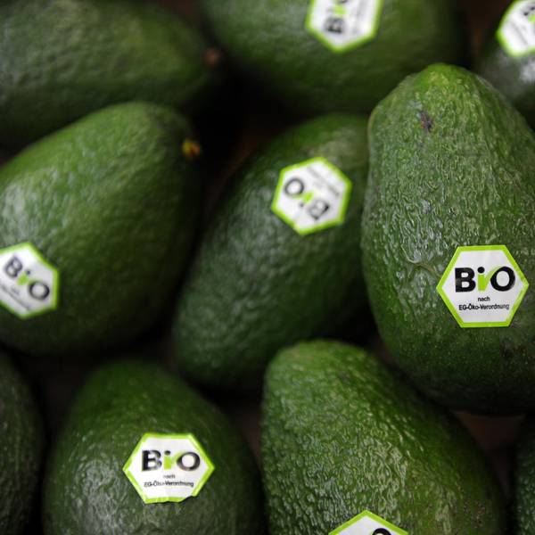 Haufen Bio-Avocado