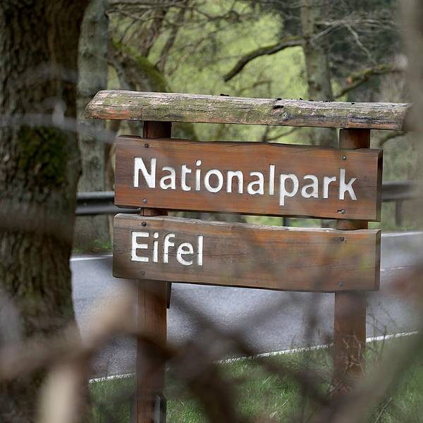 Nationalpark Eifel Schild