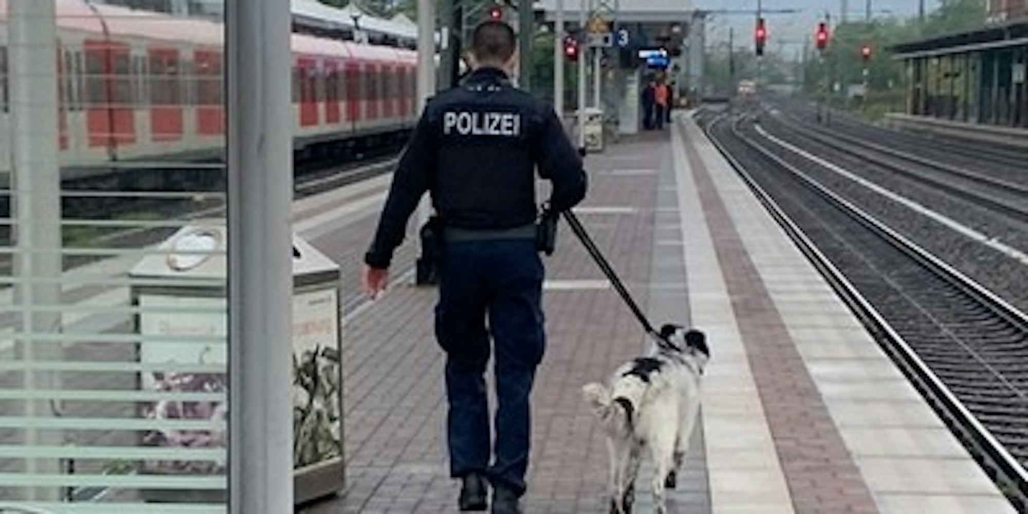 polizei-bonn-hundehalterin-200521