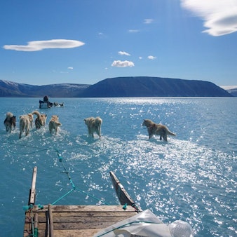 Grönlandeis dpa neu