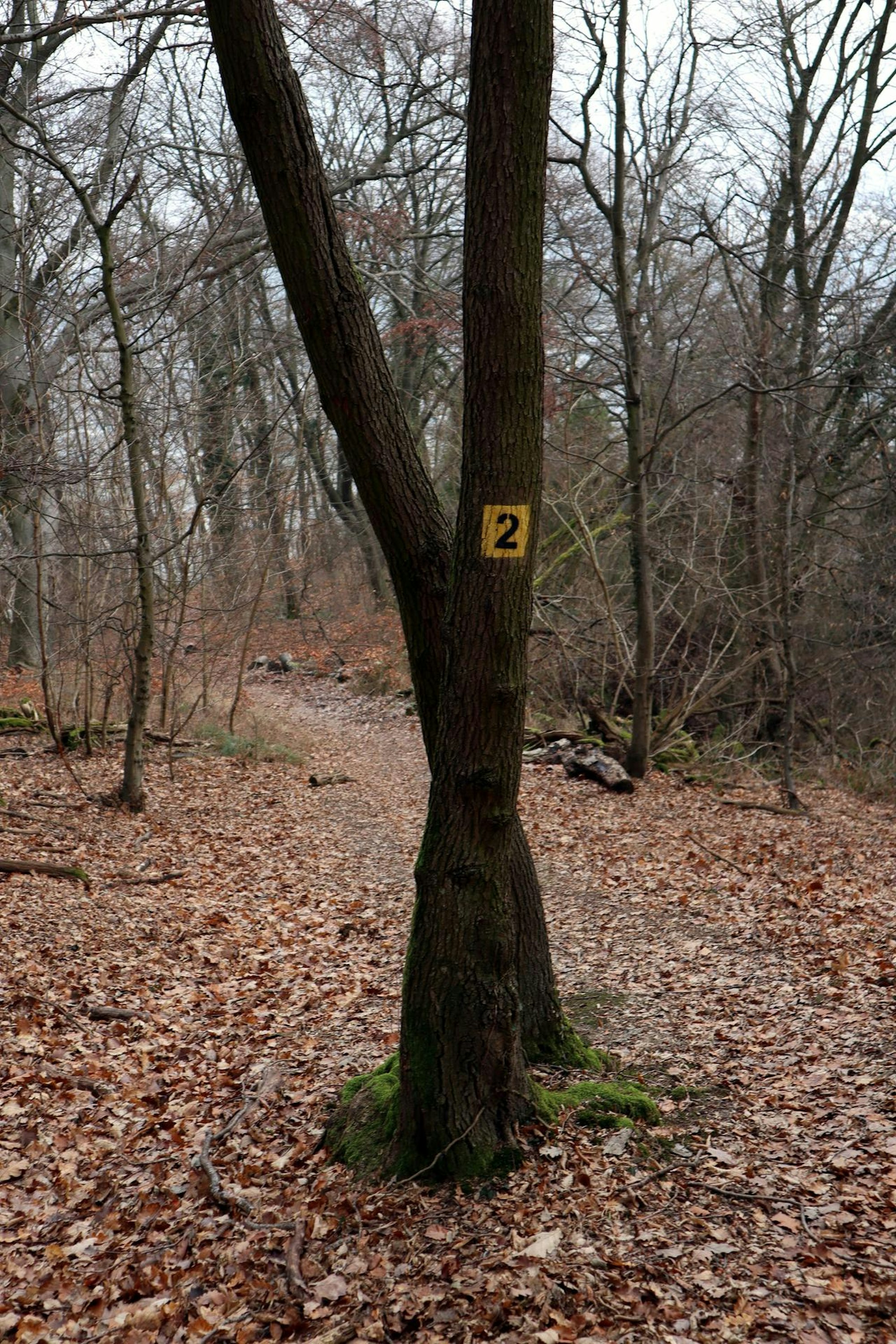 Wegmarke
