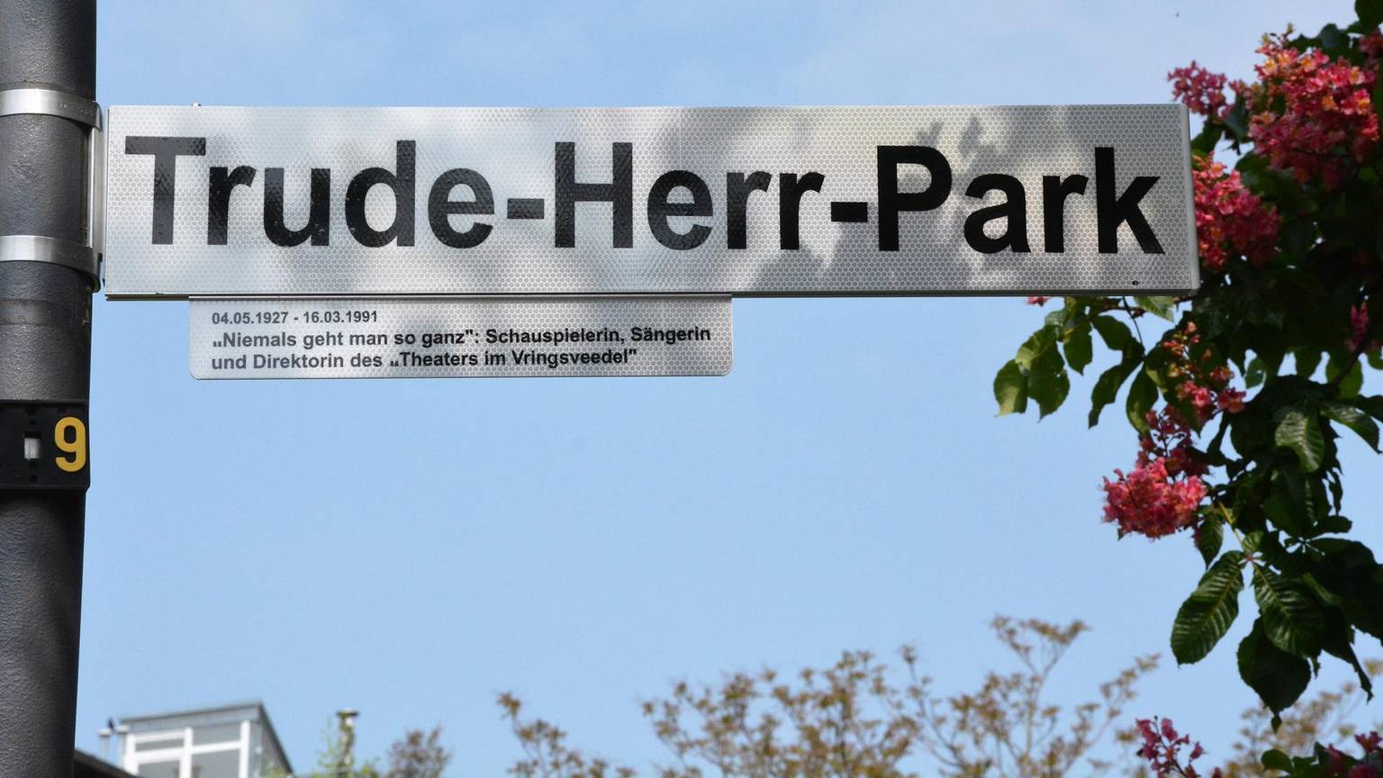Herr