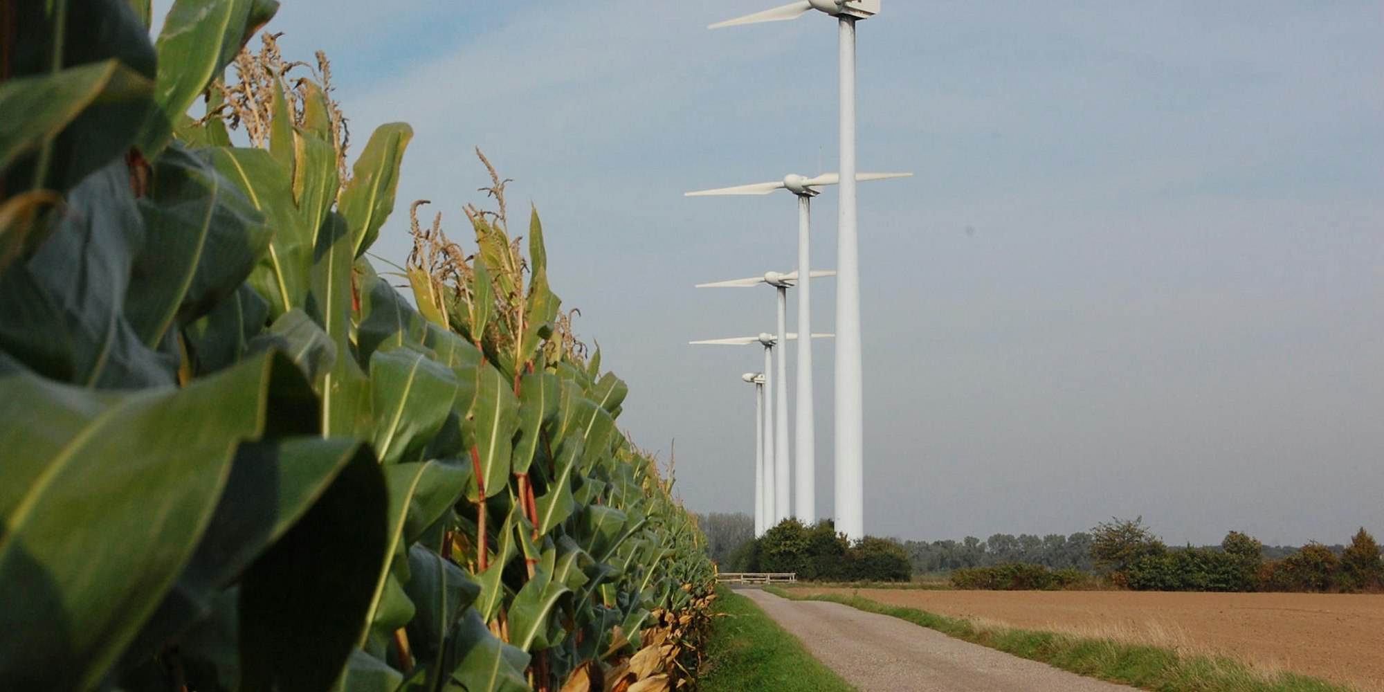 Kerpen Blatzheim Windräder