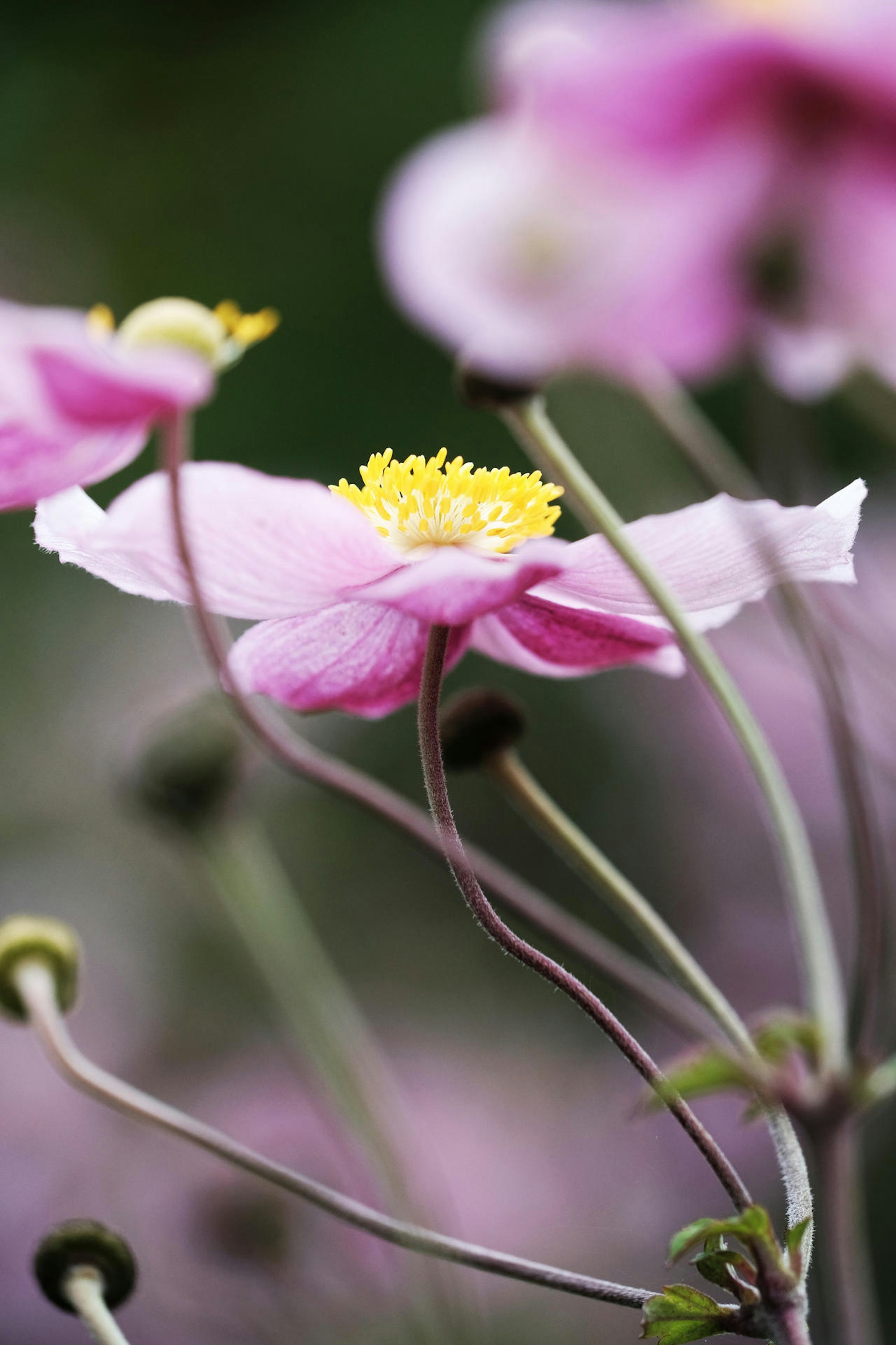 20200904-MAX-gartenkalender-06