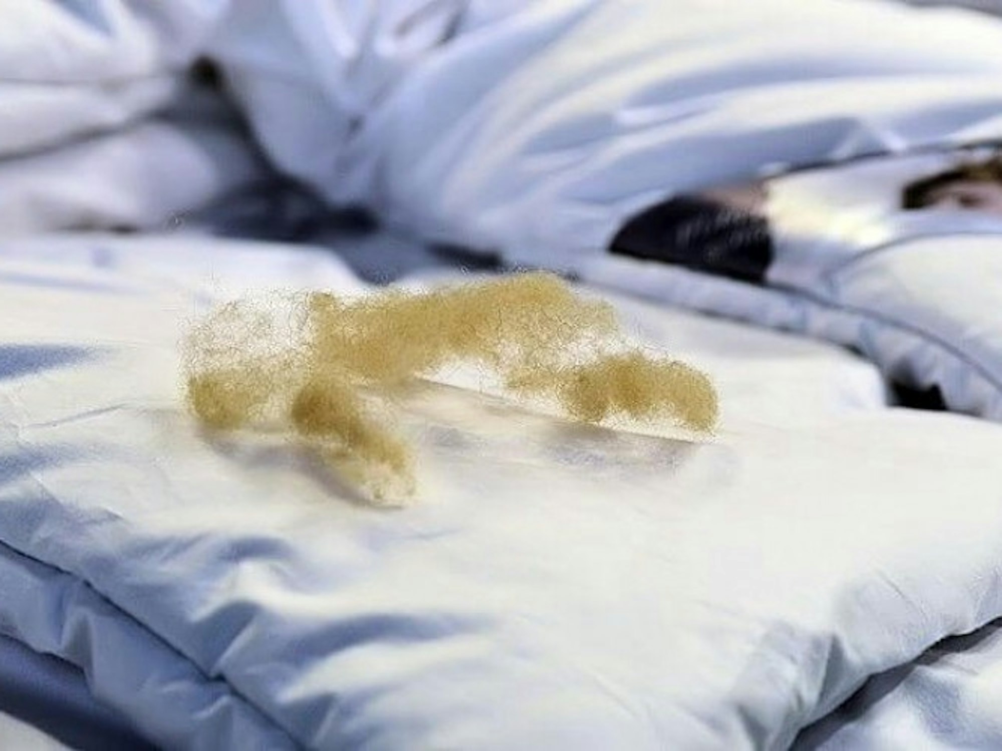 traumkonzept_kamelhaardecke_4_798-461_2