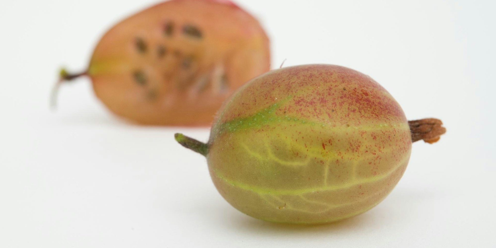 stachelbeere aufgeschnitten