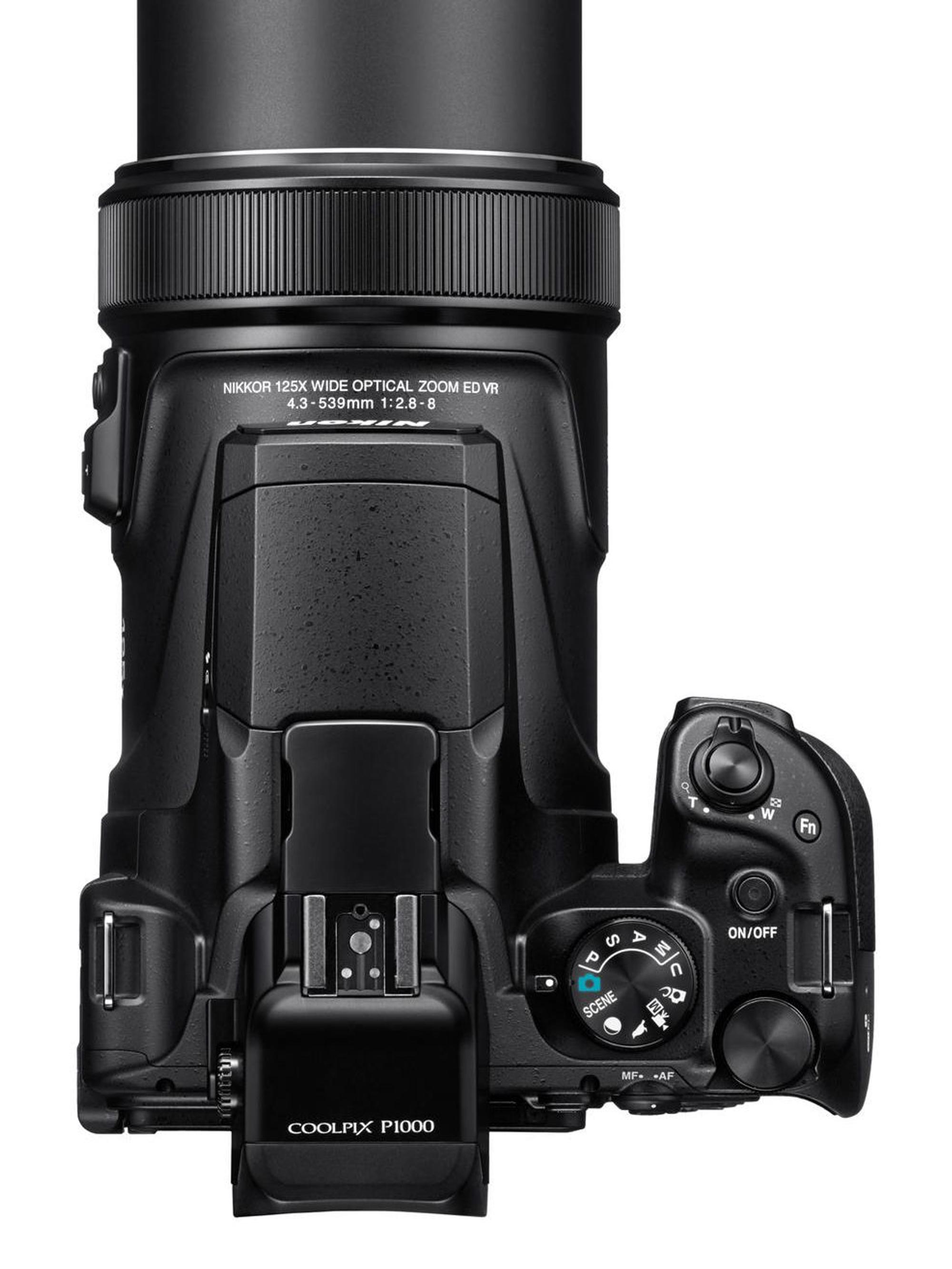 E_002_Nikon-4757ed7fd8040cd8