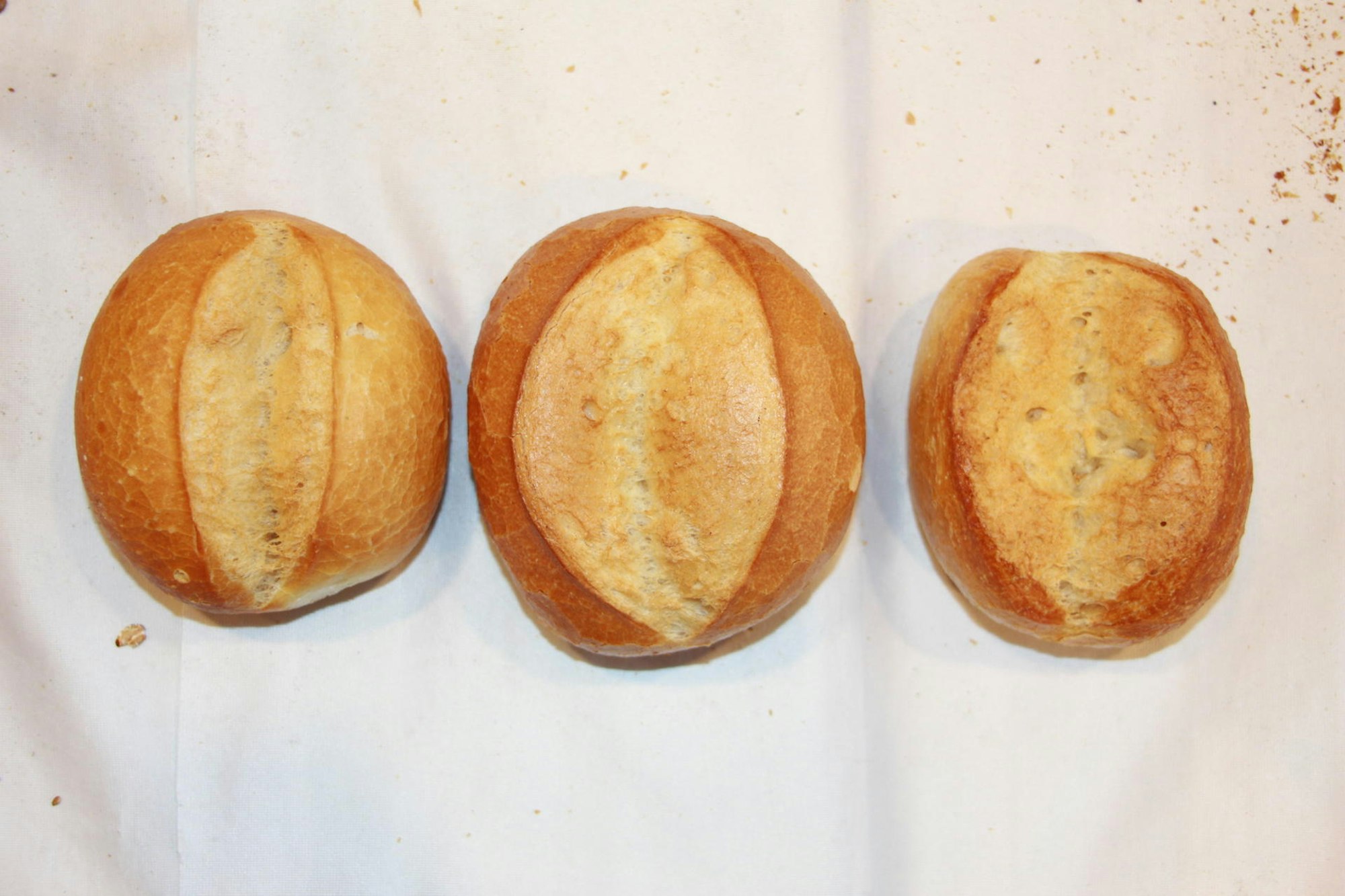 20220126-Brotprüfung-vr_10