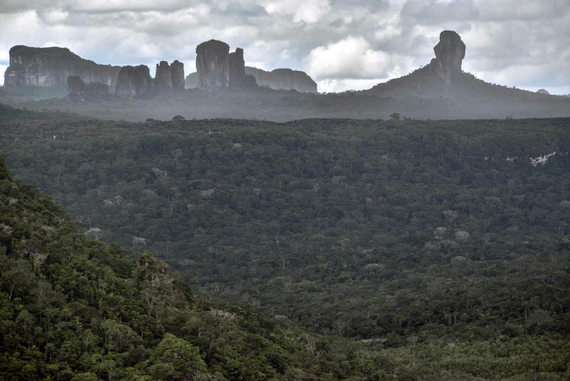 Chiribiquete Kolumbien größter Tropenwald-Nationalpark Berge