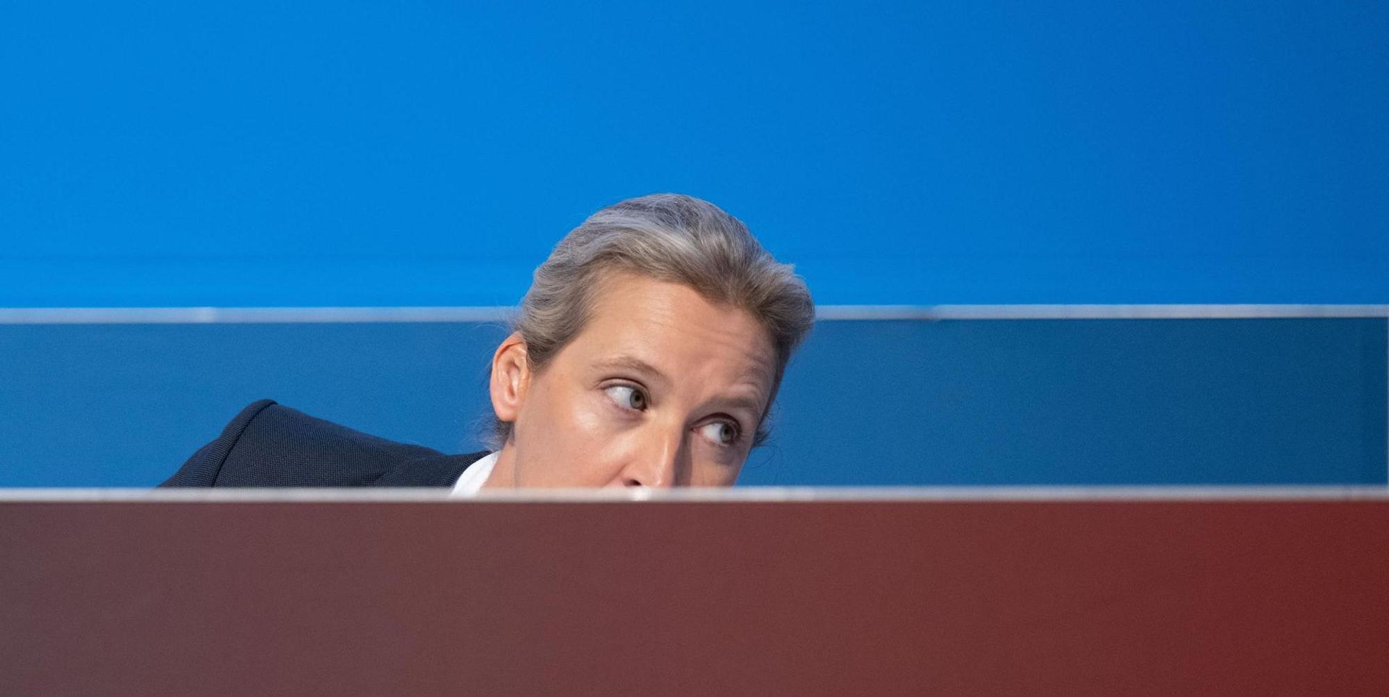 Weidel dpa neu