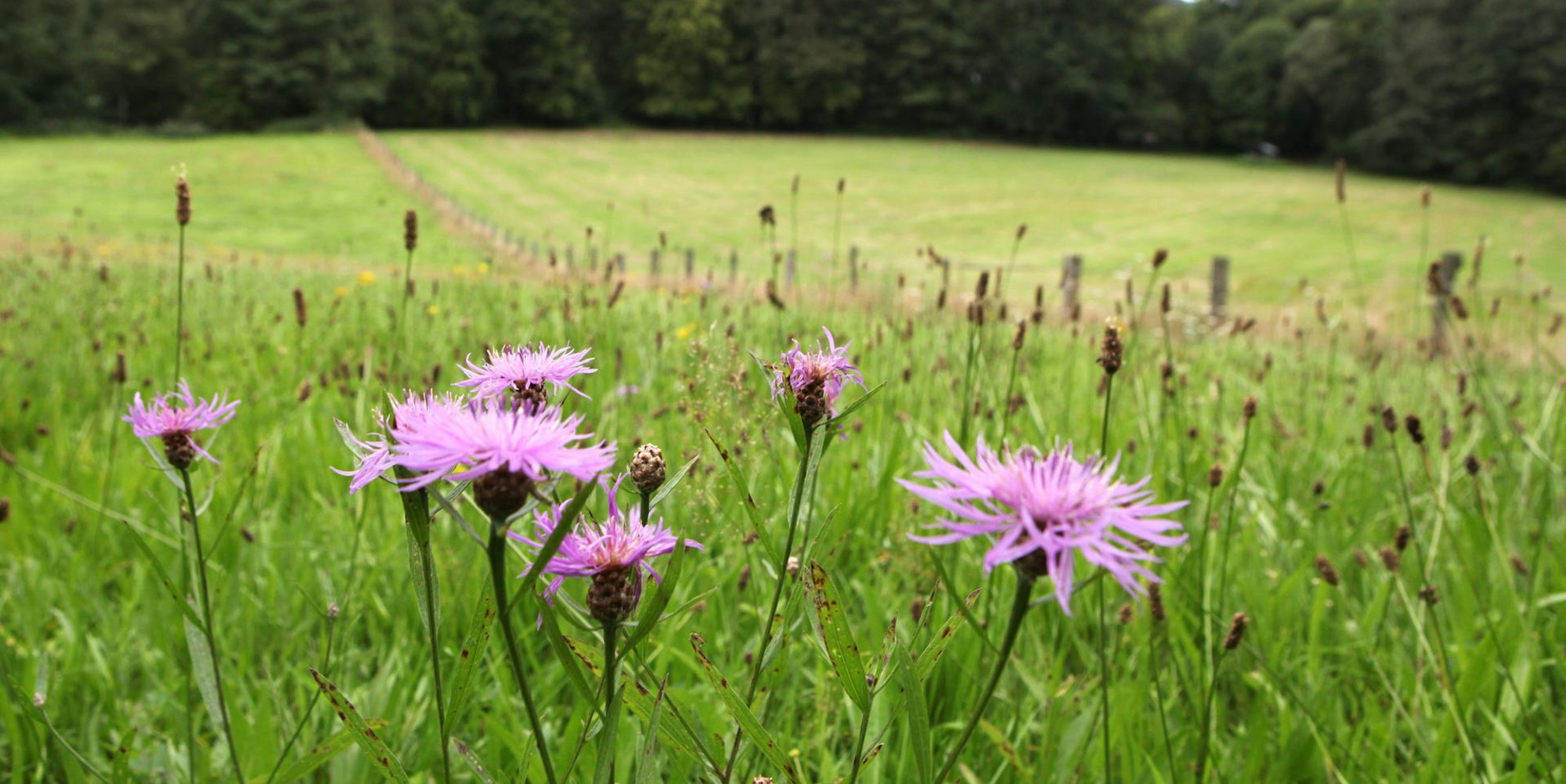 MDS-KR-2012-01-24-6943895.71-29844322