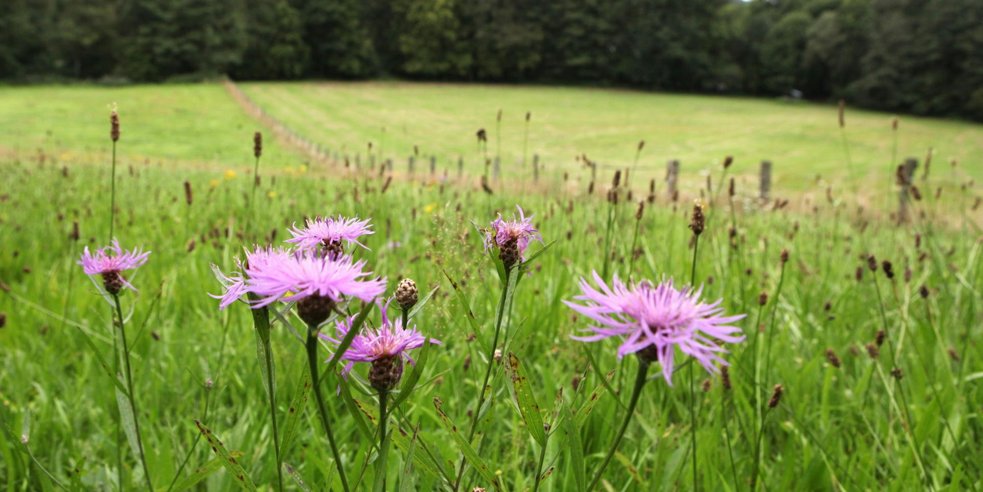 MDS-KR-2012-01-24-6943895.71-29844322