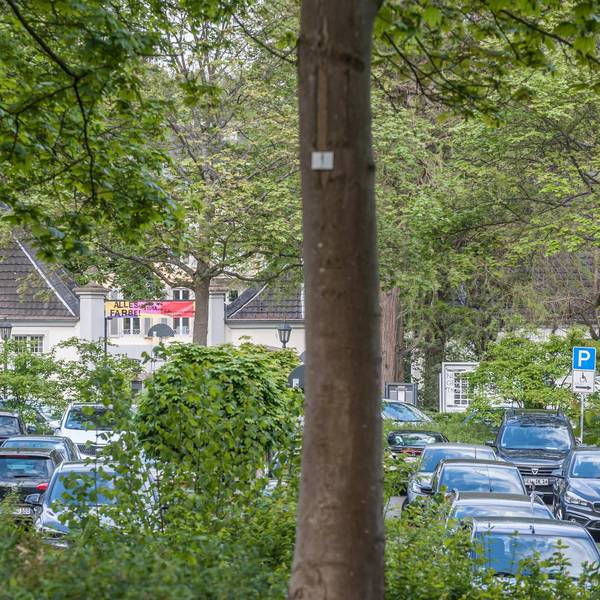 leverkusen-morsbroich-parken--ALF_7595