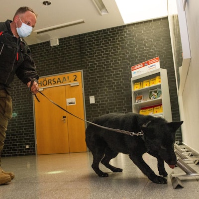 Drago_Geruchsprobe_Corona