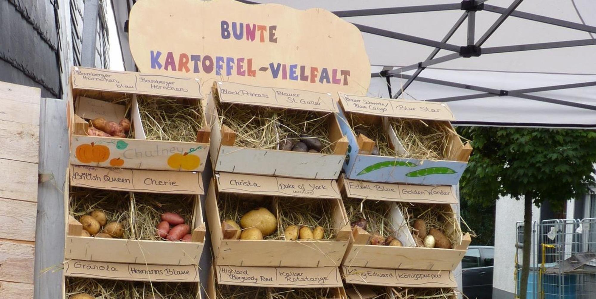 Neuer Inhalt (1)