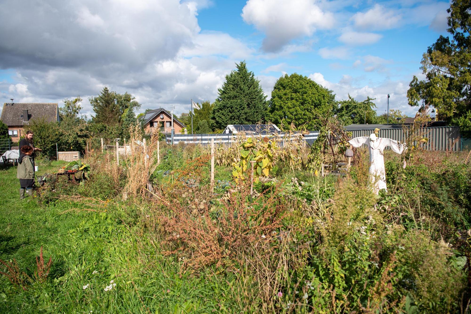 Selbstversorger-Garten